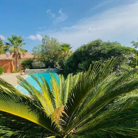 Avec Piscine Privee A 10 Min Porto-vecchio * Lecci