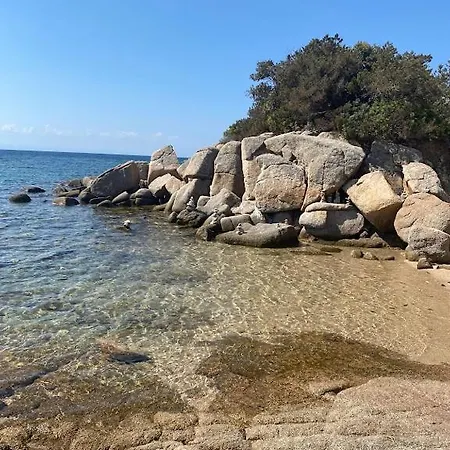 Avec Piscine Privée à 10 Min Porto-vecchio